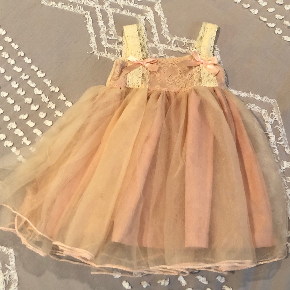 Baby Girl NWT blush color lace tutu dress